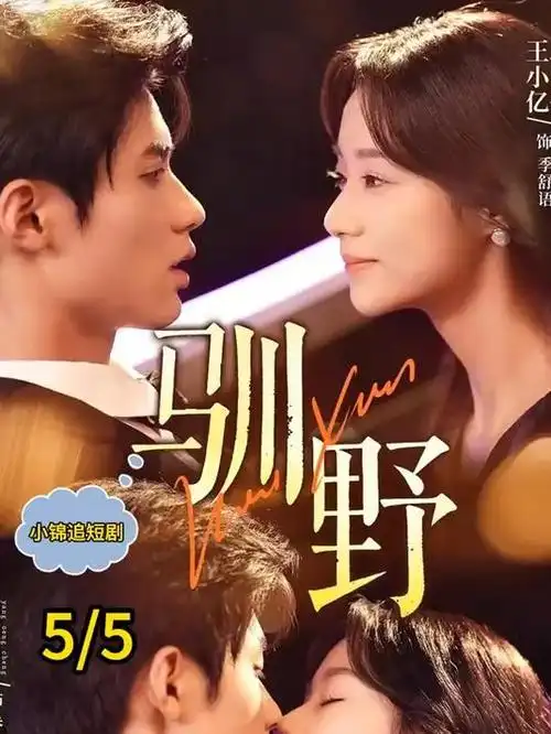 短剧第二次日落封面
